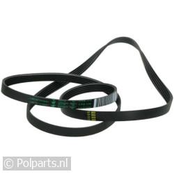 Poly-V-snaar 1239 J5 TEM