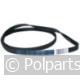 Poly-V-snaar 1200 J6 TEM - AEG/Electrolux/Zanussi - 1240210102 - 04221012 - 5021879155207 - 04221012001 - 0.42.21.01-2