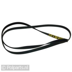 Poly-V-snaar 1890 H9 TEM