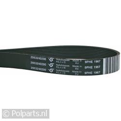 Poly-V-snaar 1967 H9 TEM