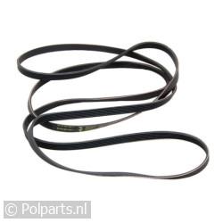 Poly-V-snaar 1936 H6 TEM