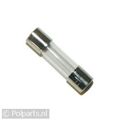 10x glaszekering 2,5A traag 5 x 20 mm