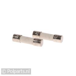 Zekering 8A 250V -2 Stuks-