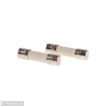 Zekering 8A 250V -2 Stuks- - Bosch/Siemens - 90570020 - 90570020001 - 00612920 - 9.05.70.02-0 - 612920 - 8713411196447