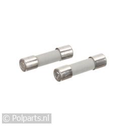 Zekering 10A 250V -2 Stuks-