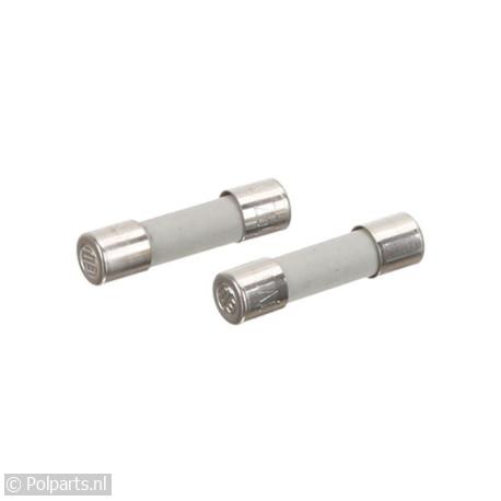 Zekering 10A 250V -2 Stuks- - Bosch/Siemens - 90570030 - 90570030001 - 00029469 - 9.05.70.03-0 - 29469 - 8713411196454